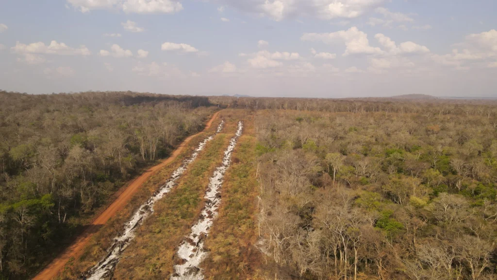 17 cicatrices de quemas ilegales que provocan incendios